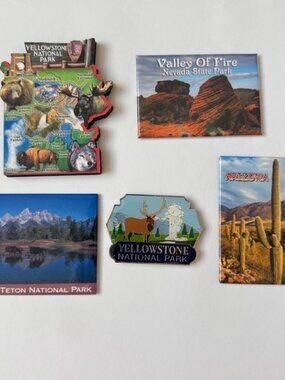 Lot of 5 Fridge Magnets Yellowstone National Park Grand Teton Valley of Fire